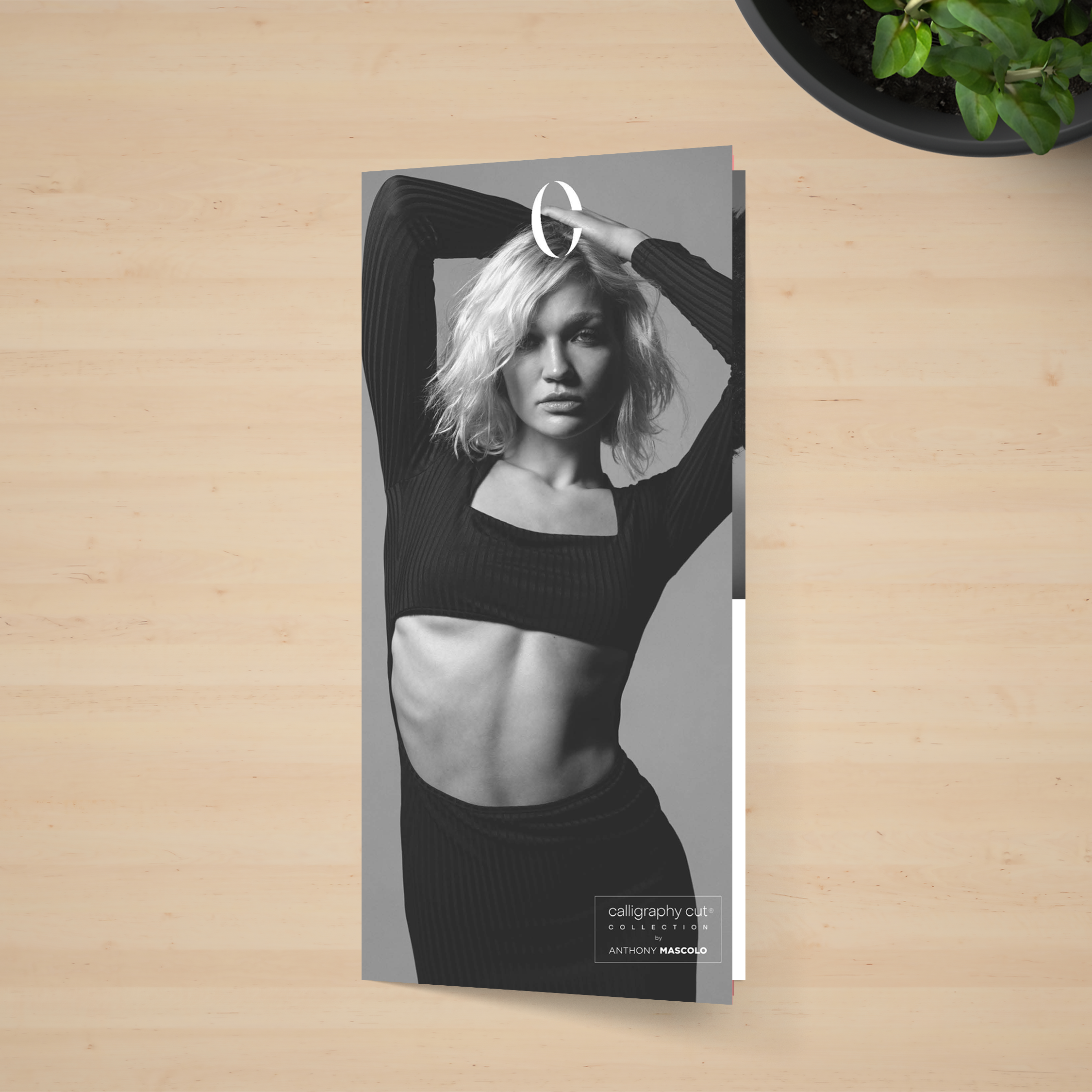 Info Flyer "calligraphy cut collection by anthony mascolo" 50er Pack