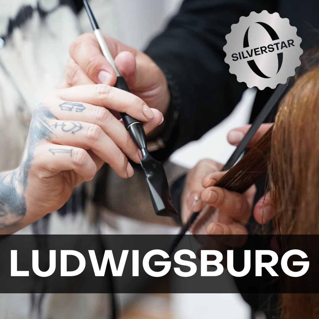 SilverStar Zertifizierung Ludwigsburg