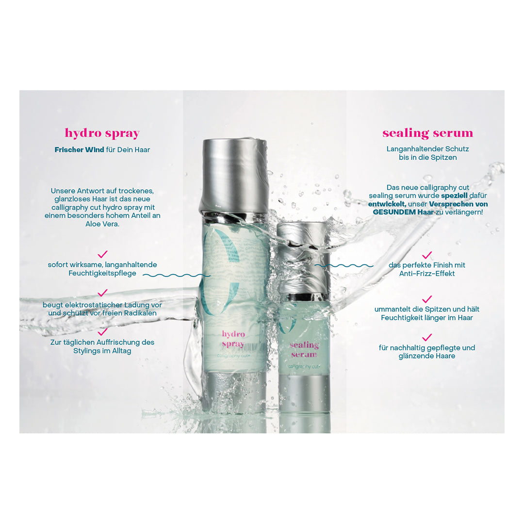 HairCare Flyer 50er Pack